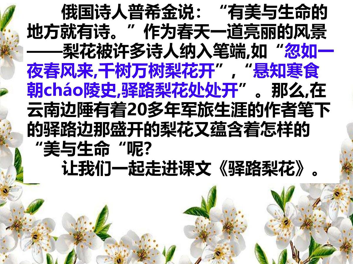 初中 语文 人教部编版（2024）七年级下册（2024） 第四单元14 驿路梨花 课件第1页