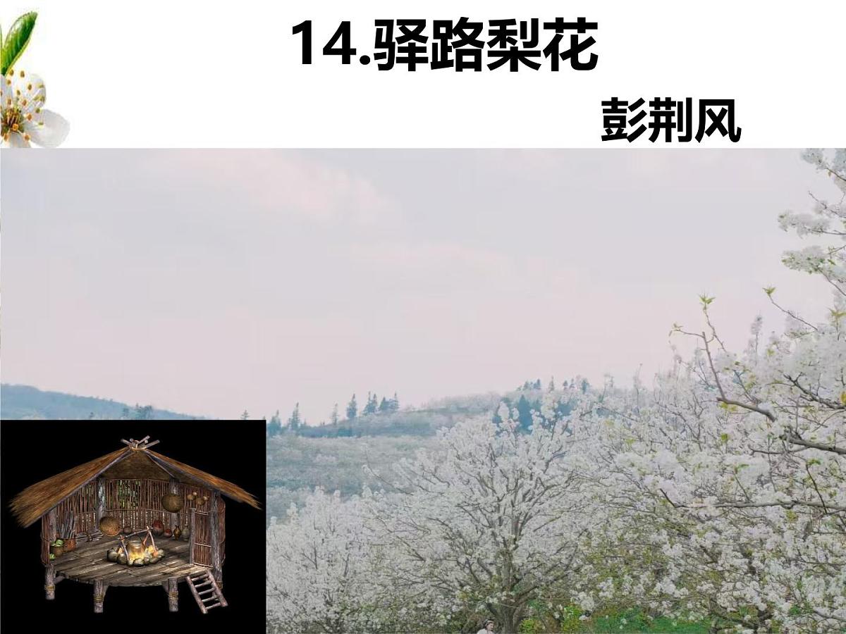 初中 语文 人教部编版（2024）七年级下册（2024） 第四单元14 驿路梨花 课件第2页