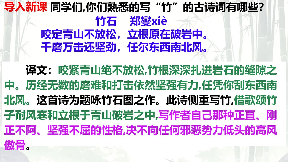 初中 语文 人教部编版（2024）七年级下册（2024） 第五单元18 井冈翠竹 课件第1页
