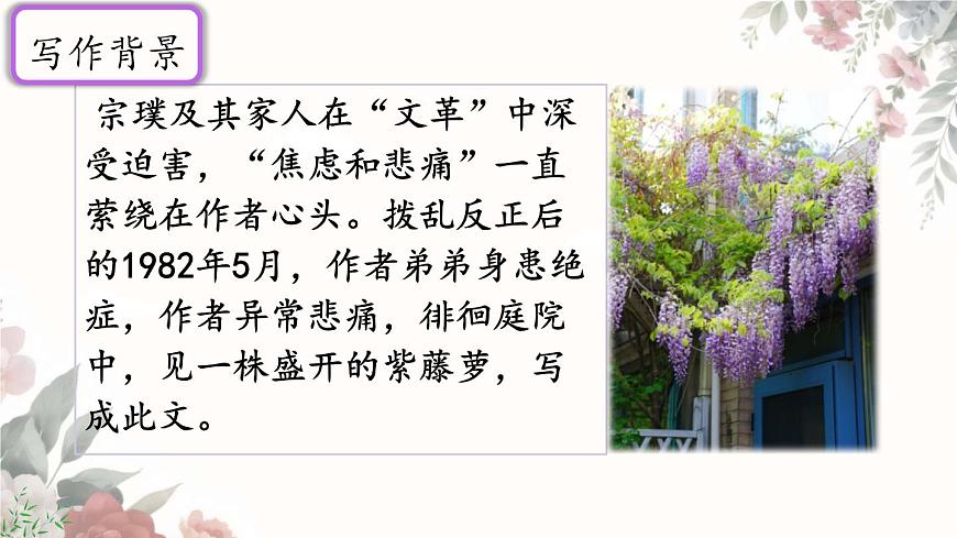 初中 语文 人教部编版（2024）七年级下册（2024） 第五单元19 紫藤萝瀑布 课件第7页