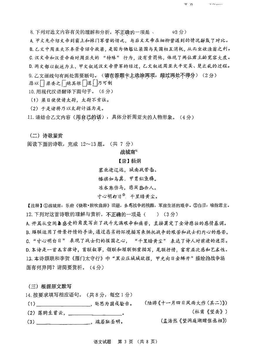 2025年山东省济南市高新区中考一模语文试题（无答案）第3页