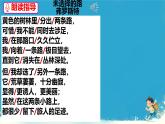 未選擇的路 課件 初中語文人教部編版（2024）七年級下冊