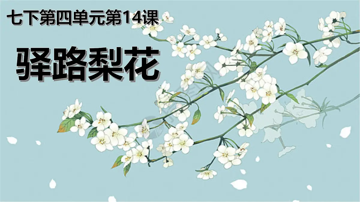 初中 语文 人教部编版（2024）七年级下册（2024）第四单元14 驿路梨花 课件第2页