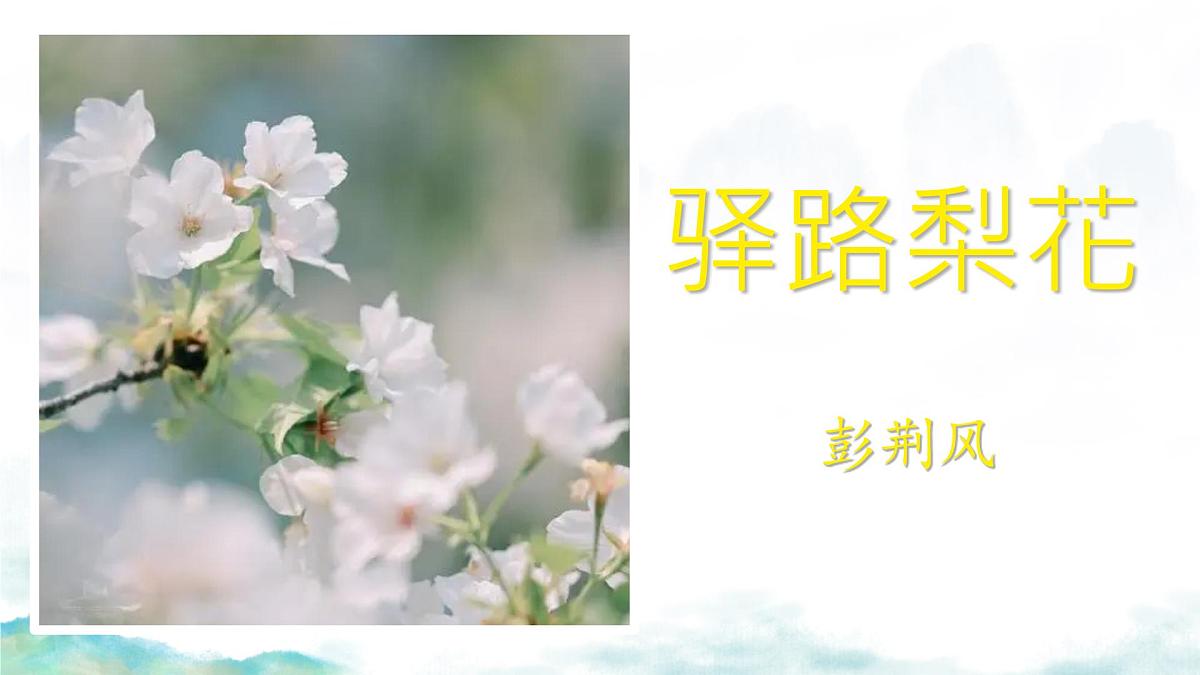 初中 语文 人教部编版（2024）七年级下册（2024）第四单元14 驿路梨花 课件第2页