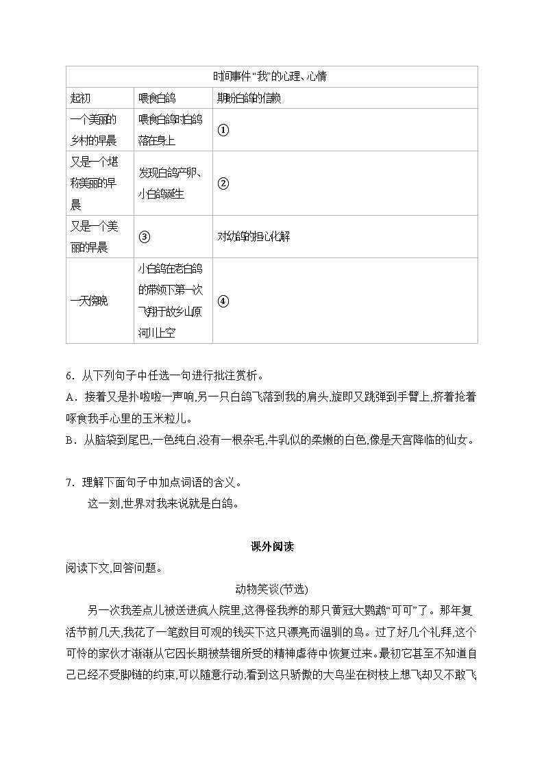 语文部编版（2024）七年级上册【课时作业】18 我的白鸽（含答案）第2页