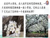 驛路梨花 課件 初中語文人教部編版（2024）七年級下冊