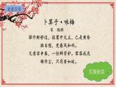 部編版八年級下冊《卜算子.詠梅》PPT課件