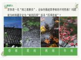 部編版初中語(yǔ)文七年級(jí)上冊(cè)第一單元第三課《雨的四季》課件+教案+課后練習(xí)（含答案）