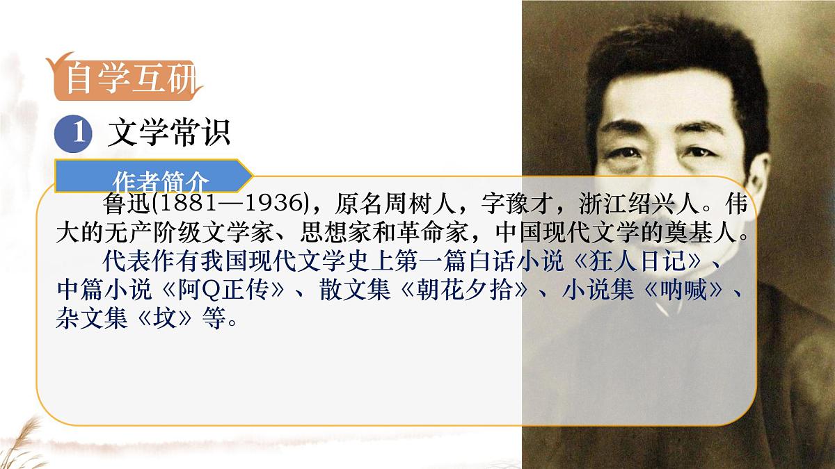 初中语文人教部编版（2024）七年级下册（2024）第三单元10 阿长与《山海经》 课件第3页
