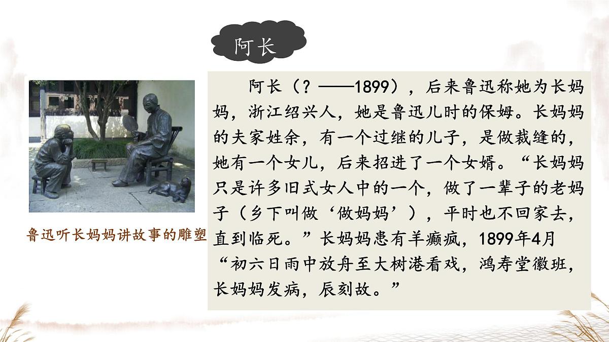 初中语文人教部编版（2024）七年级下册（2024）第三单元10 阿长与《山海经》 课件第5页