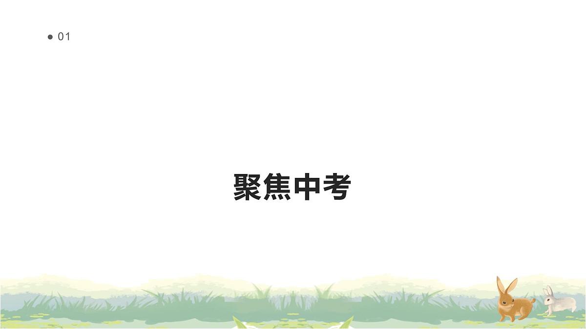 2025年中考语文专题复习：病句辨析 课件第2页