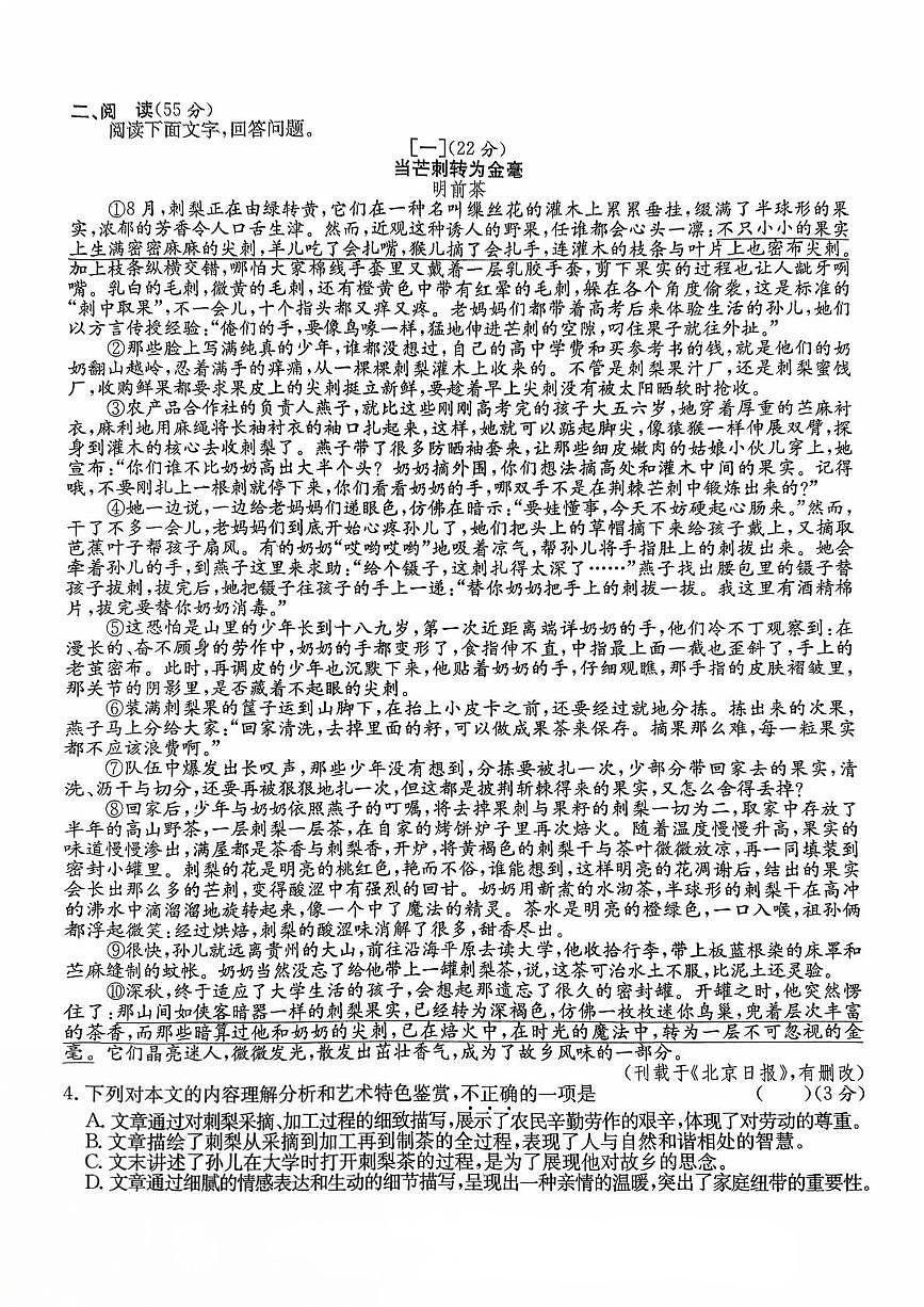 2025年安徽省阜阳市重点中学中考一模语文试题第2页