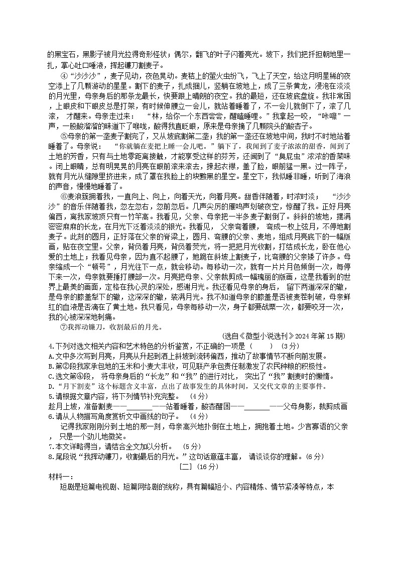 安徽省合肥市新站区2024-2025学年九年级上学期期末语文试题（含答案）第3页