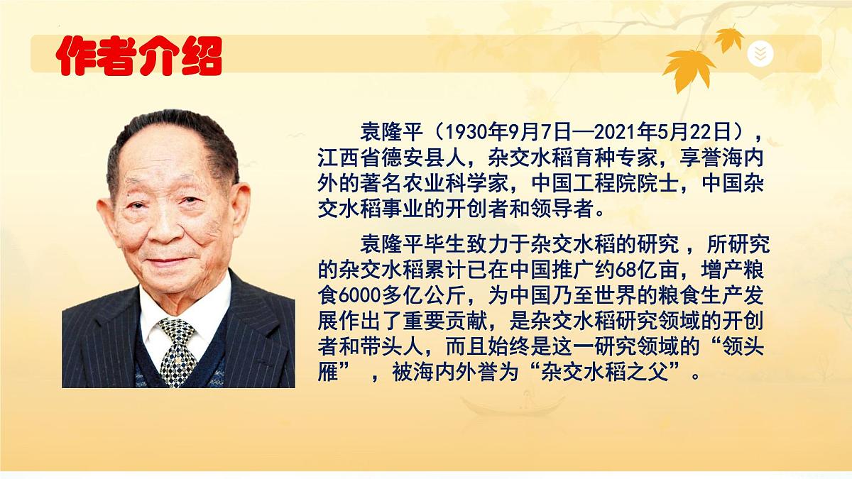 17 中国有能力解决好吃饭问题 （精美课件）-2024-2025学年六年级语文下册（统编版五四制2024）第4页