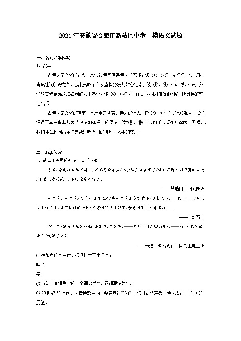 2024年安徽省合肥市新站区中考一模语文试题（含答案）第1页
