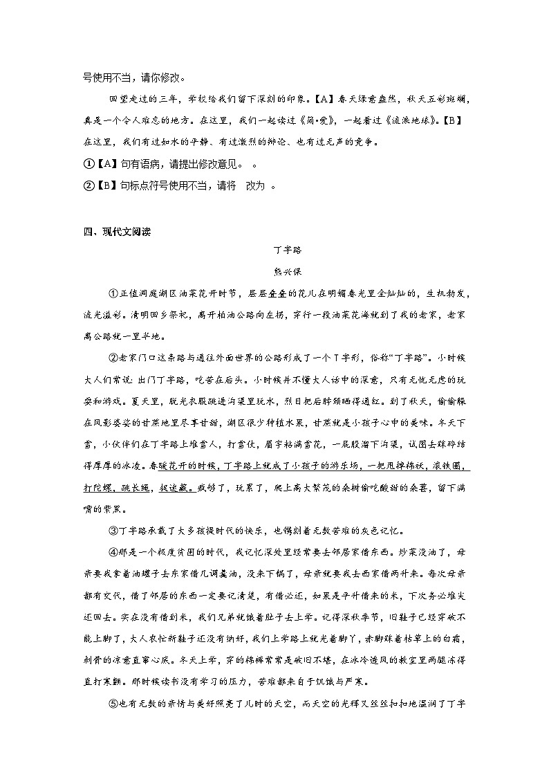 2024年安徽省合肥市新站区中考一模语文试题（含答案）第3页