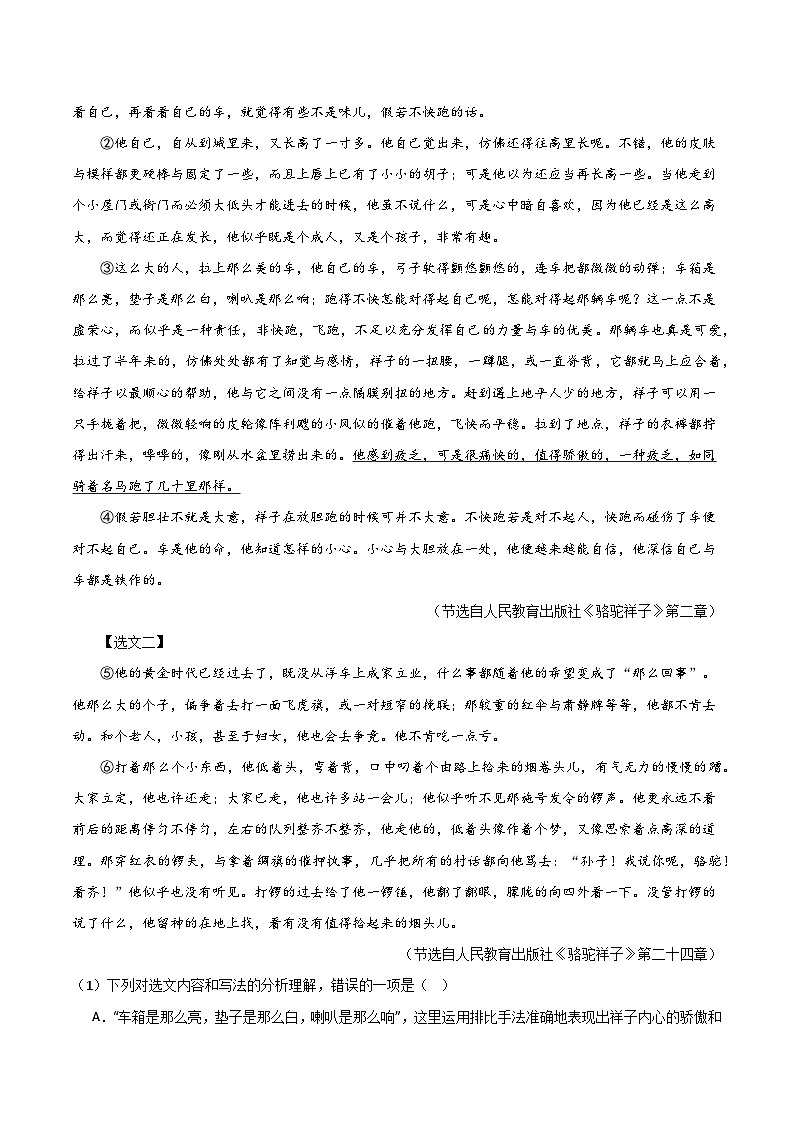 专题08整本书阅读（3） 《骆驼祥子》-三年（2022-2024）中考语文真题分项汇编（全国）第2页