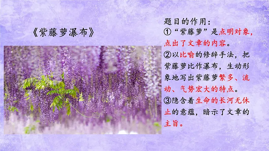 第19课《紫藤萝瀑布》课件-2024-2025学年统编版语文七年级下册第3页