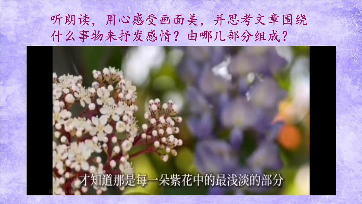 第19课《紫藤萝瀑布》课件-2024-2025学年统编版语文七年级下册第7页