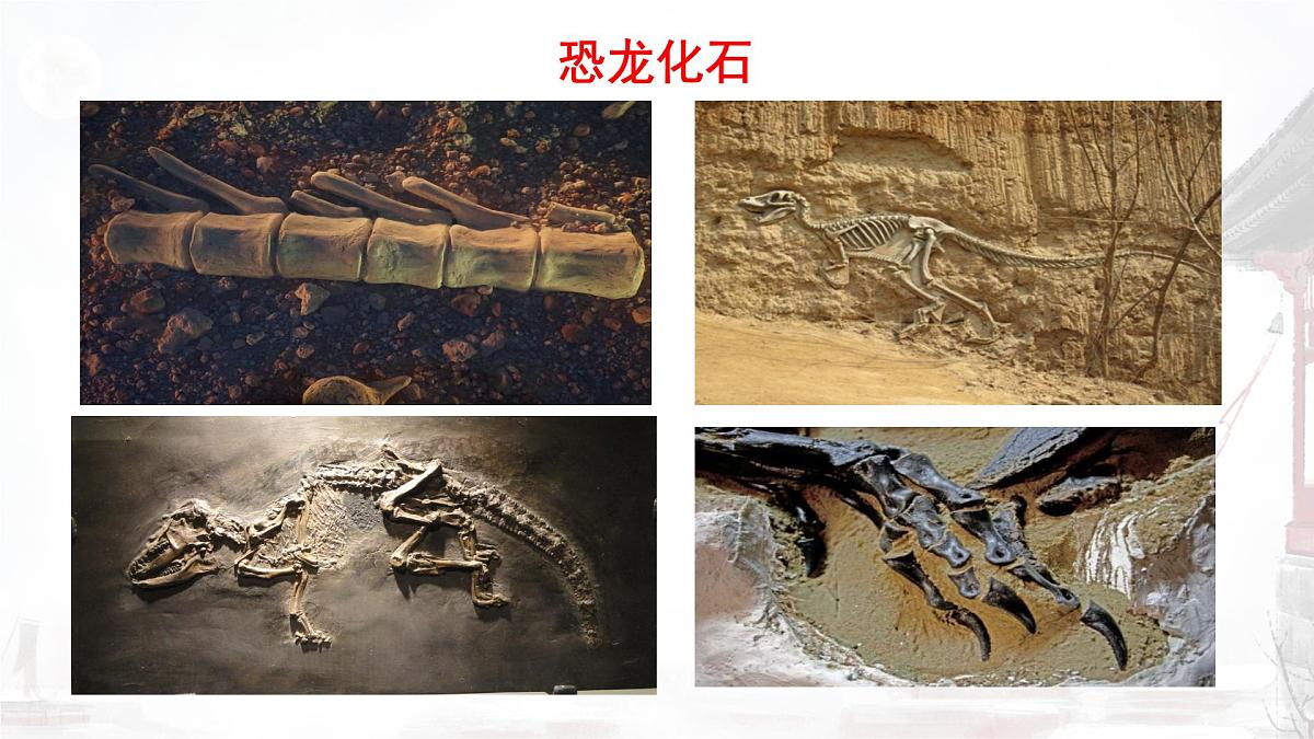 统编版八年级语文下册《时间的脚印》教学课件第3页