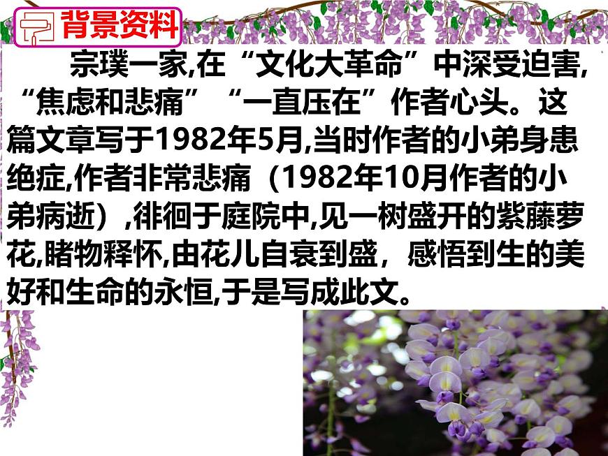 初中语文人教部编版（2024）七年级下册（2024）第五单元19 紫藤萝瀑布 课件第6页