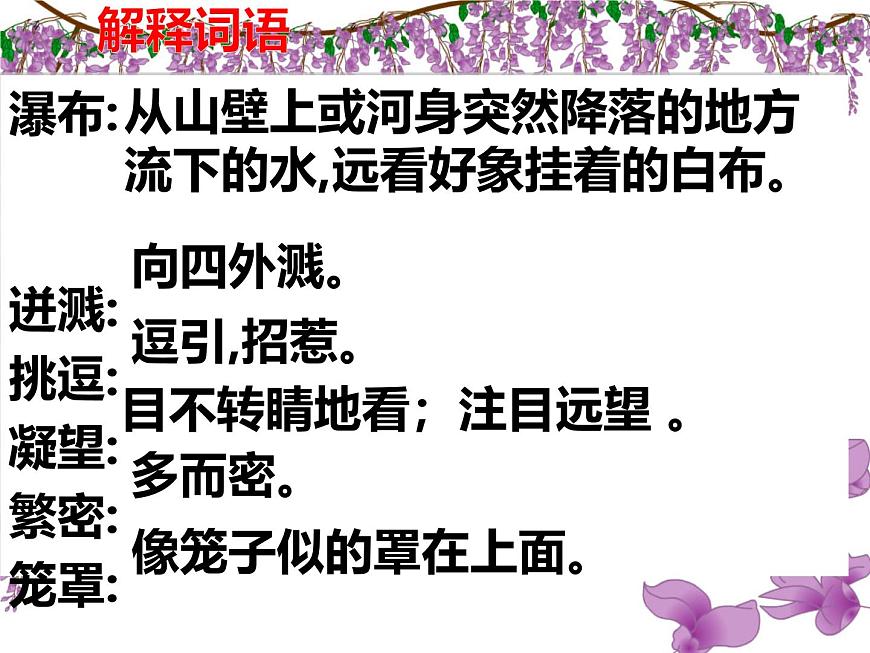 初中语文人教部编版（2024）七年级下册（2024）第五单元19 紫藤萝瀑布 课件第8页