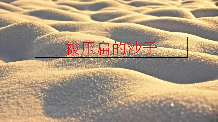 统编版八年级语文下册教学课件《被压扁的沙子》第1页