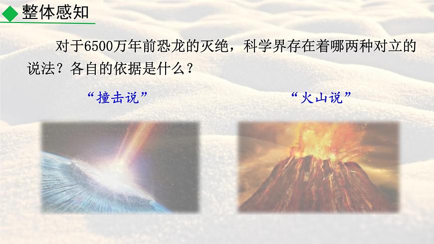 统编版八年级语文下册教学课件《被压扁的沙子》第8页