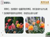 專題05 學(xué)習(xí)抒情 作文開頭四大技巧 2025學(xué)年七年級語文下冊單元寫作深度指導(dǎo)課件