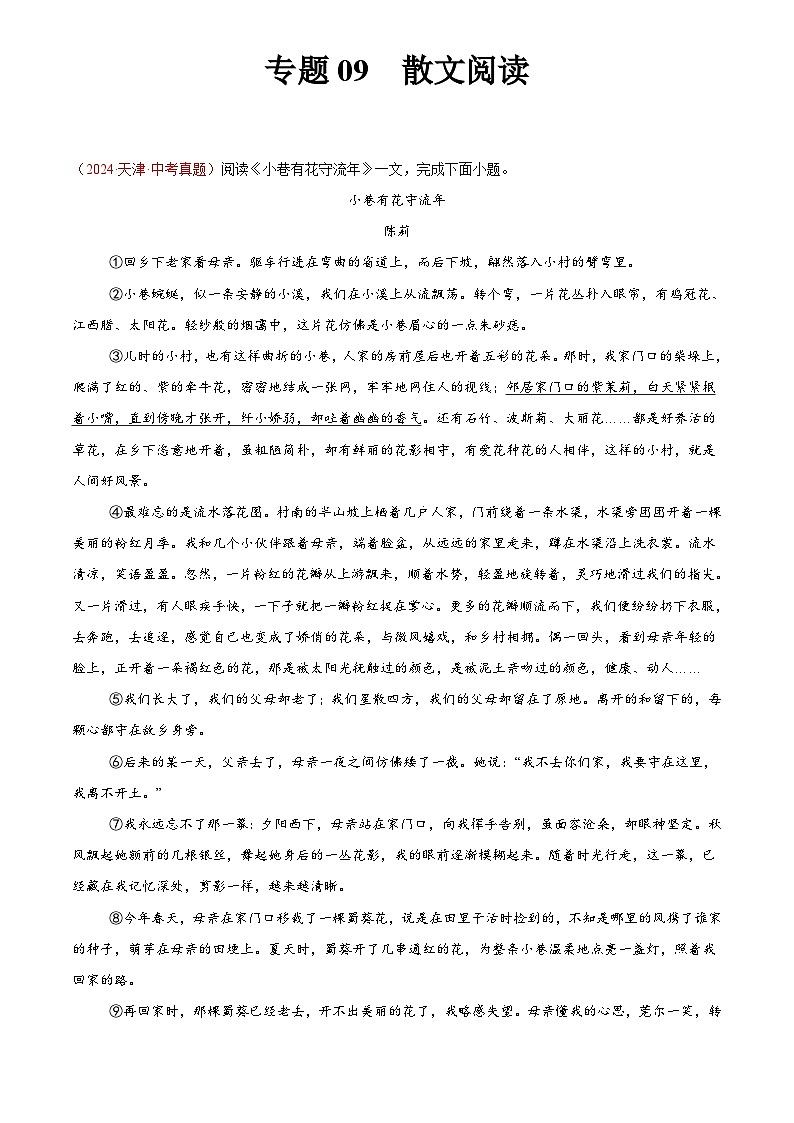 2024年中考语文真题分类汇编专题09 散文阅读（第02期）（原卷版）第1页