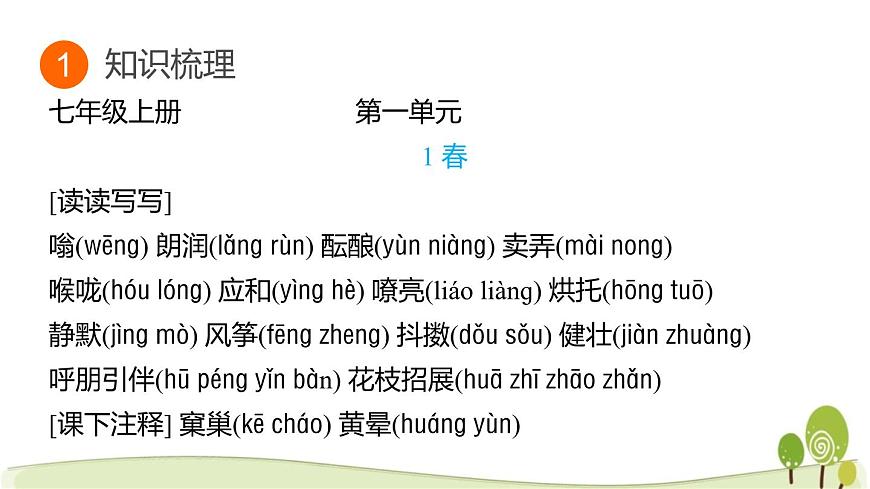 2025年中考语文专题复习：字音字形 课件第3页