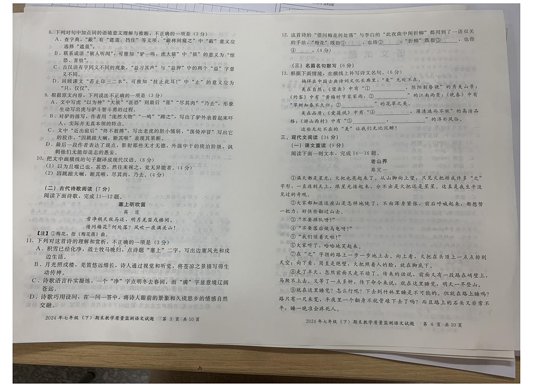 四川省乐山市等2地2023-2024学年七年级下学期6月期末语文试题第2页