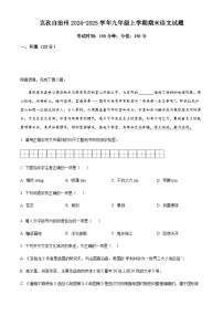 新疆维吾尔自治区克孜勒苏柯尔克孜自治州2024-2025学年九年级上学期期末语文试题