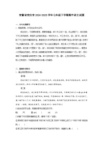 安徽省安庆市2024-2025学年七年级下学期期中语文试题（含答案）