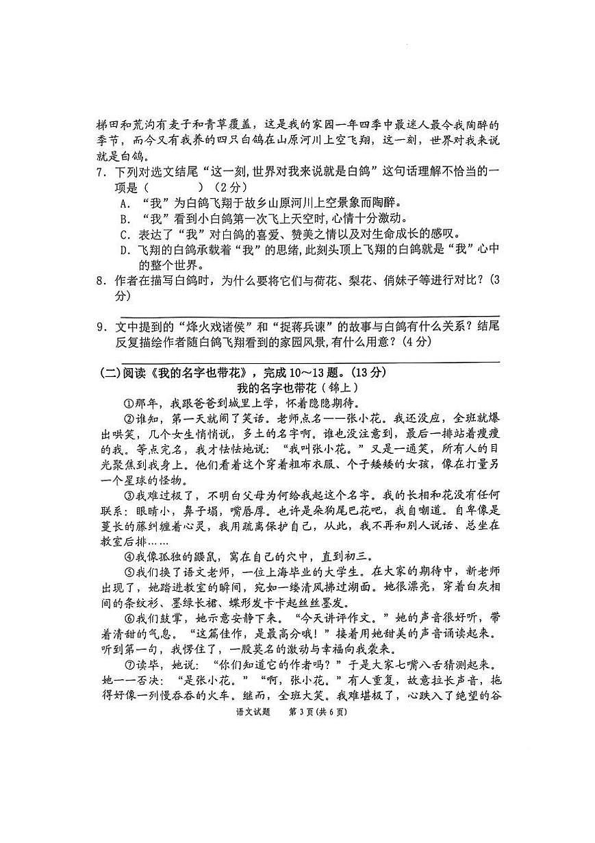 2024-2025年广西河池市宜州区秋季七年级语文期末考试第3页