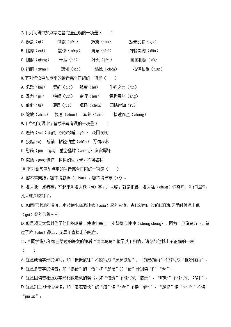 2025年中考语文二轮复习：字音、字形 专题练习题（含答案解析）第2页