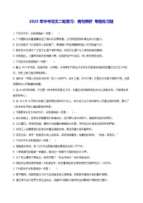 2025年中考语文二轮复习：病句辨析 专题练习题（含答案解析）