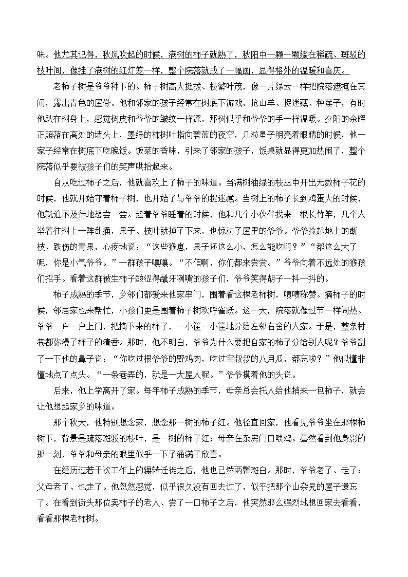 2025年中考语文二轮复习：记叙文阅读 专题测试卷（含答案解析）第3页