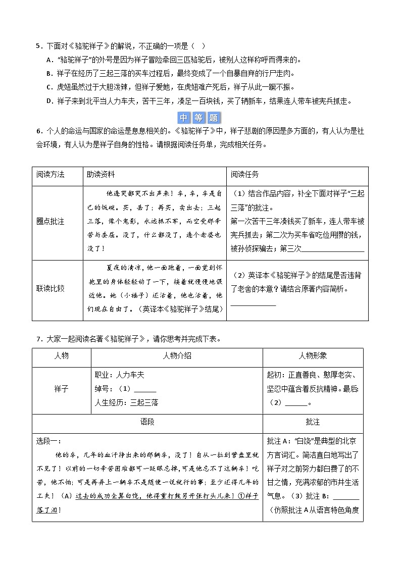 七年级语文下册“整本书阅读”《骆驼祥子》《钢铁是怎样炼成的》专练（原卷版）2024-2025学年统编版第2页