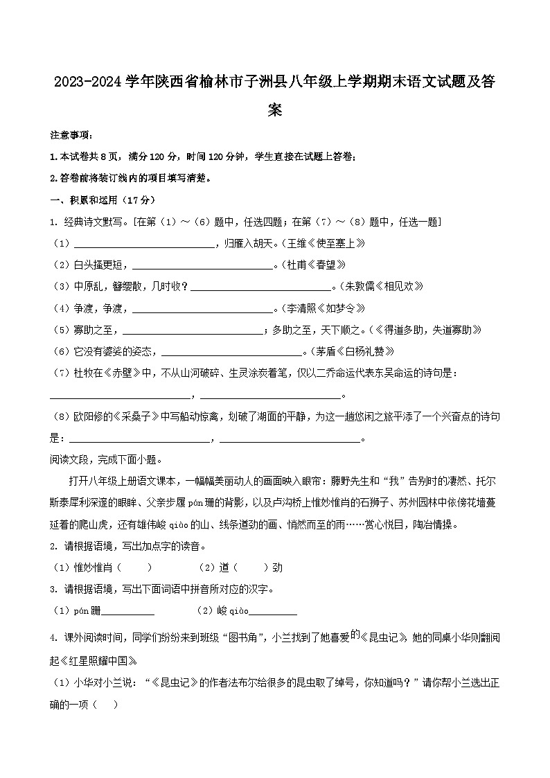 2023-2024学年陕西省榆林市子洲县八年级上学期期末语文试题及答案第1页