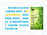 18 《井岡翠竹》- 初中語文七年級下冊 同步教學(xué)課件+教學(xué)設(shè)計(jì)+導(dǎo)學(xué)案+同步練習(xí)（人教部編版2024）