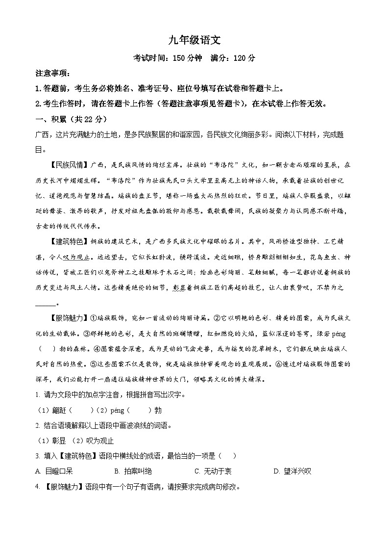 2025年广西南宁市天桃实验学校中考一模语文试题（含答案）第1页