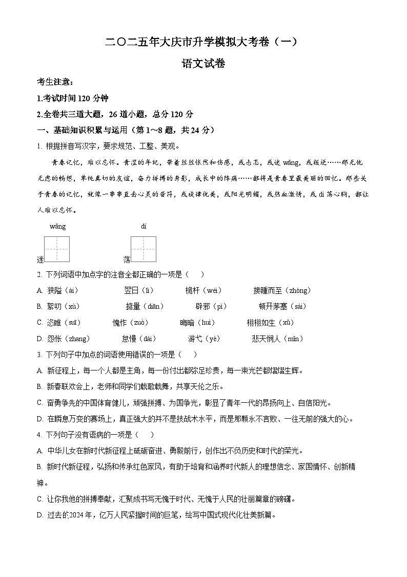 2025年黑龙江省大庆市中考一模语文试题第1页