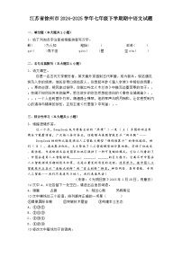 江苏省徐州市2024-2025学年七年级下学期期中语文试题（含答案）