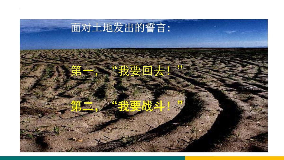 统编版（2024）七年级语文下册8土地的誓言课件ppt第8页