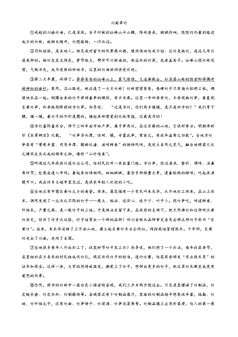 2025年四川省泸县第五中学中考二模语文试题（原卷版+解析版）第3页
