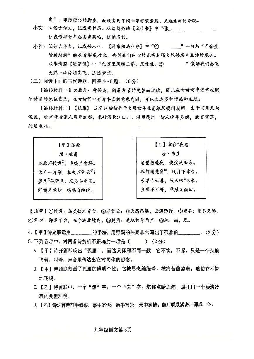 2025年河北省石家庄市桥西区一模试卷中考一模语文第3页