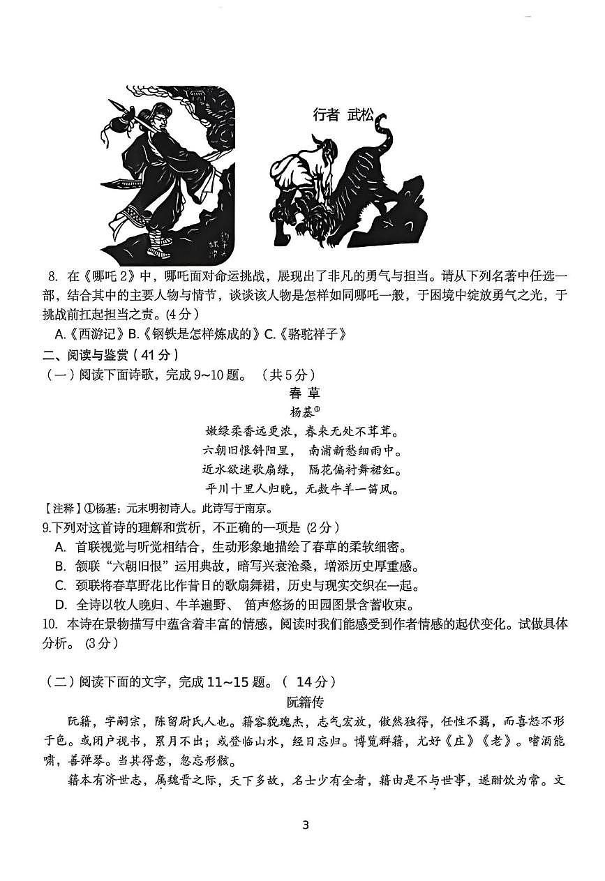 2025年山东省临沂市费县中考一模语文试题第3页