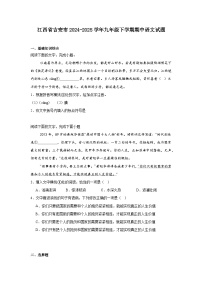 江西省吉安市2024-2025学年九年级下学期期中语文试题（含答案）