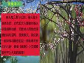 部編版初中語文七年級下冊第二學期第三單元：《晚春》課件